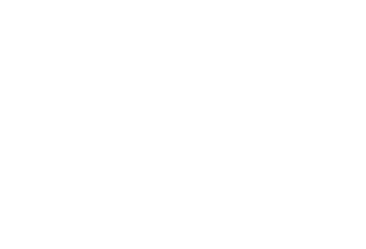 robbie hannifin roofing & guttering services logo upscaled white